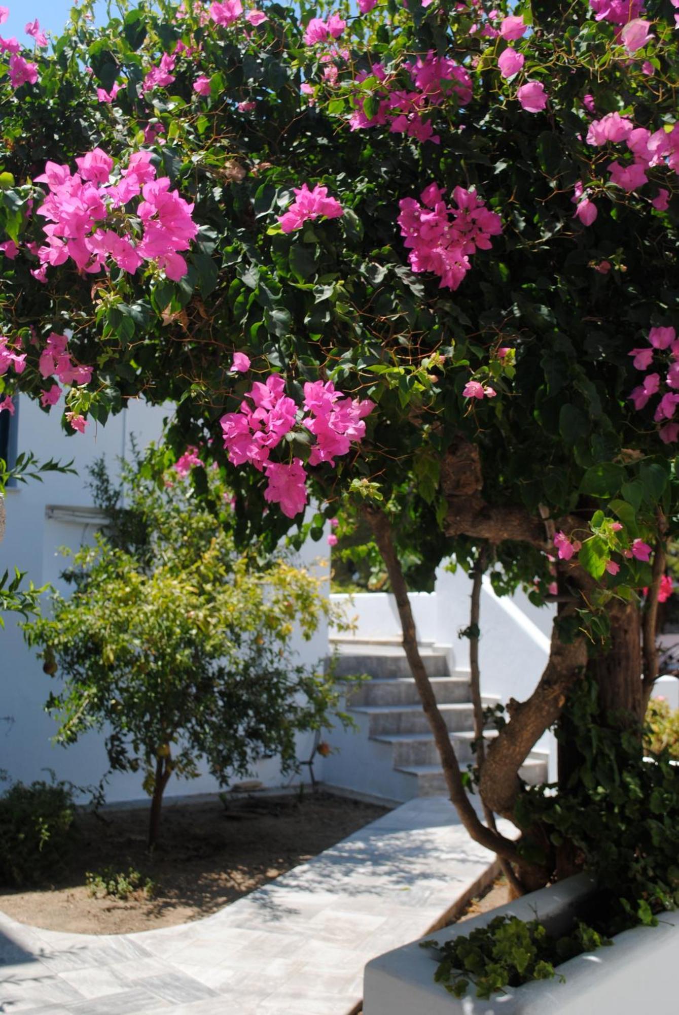 Apollonia Hotel Masouri Exterior photo